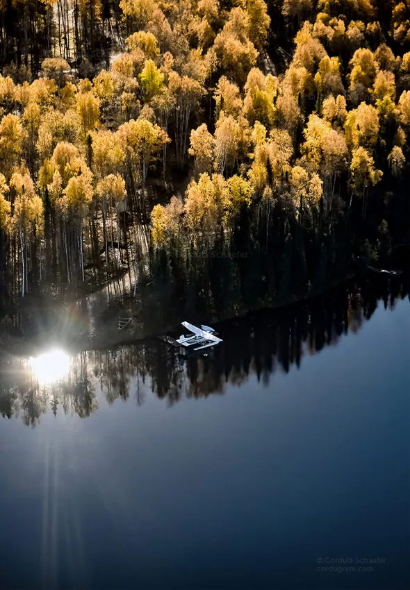 Taken from a plane, the image shows part of a forest and the bank of a lake with a small white plane tied to a wooden pier. The sun reflects brightly from the deep blue water which contrasts with the golden autumn leaves.